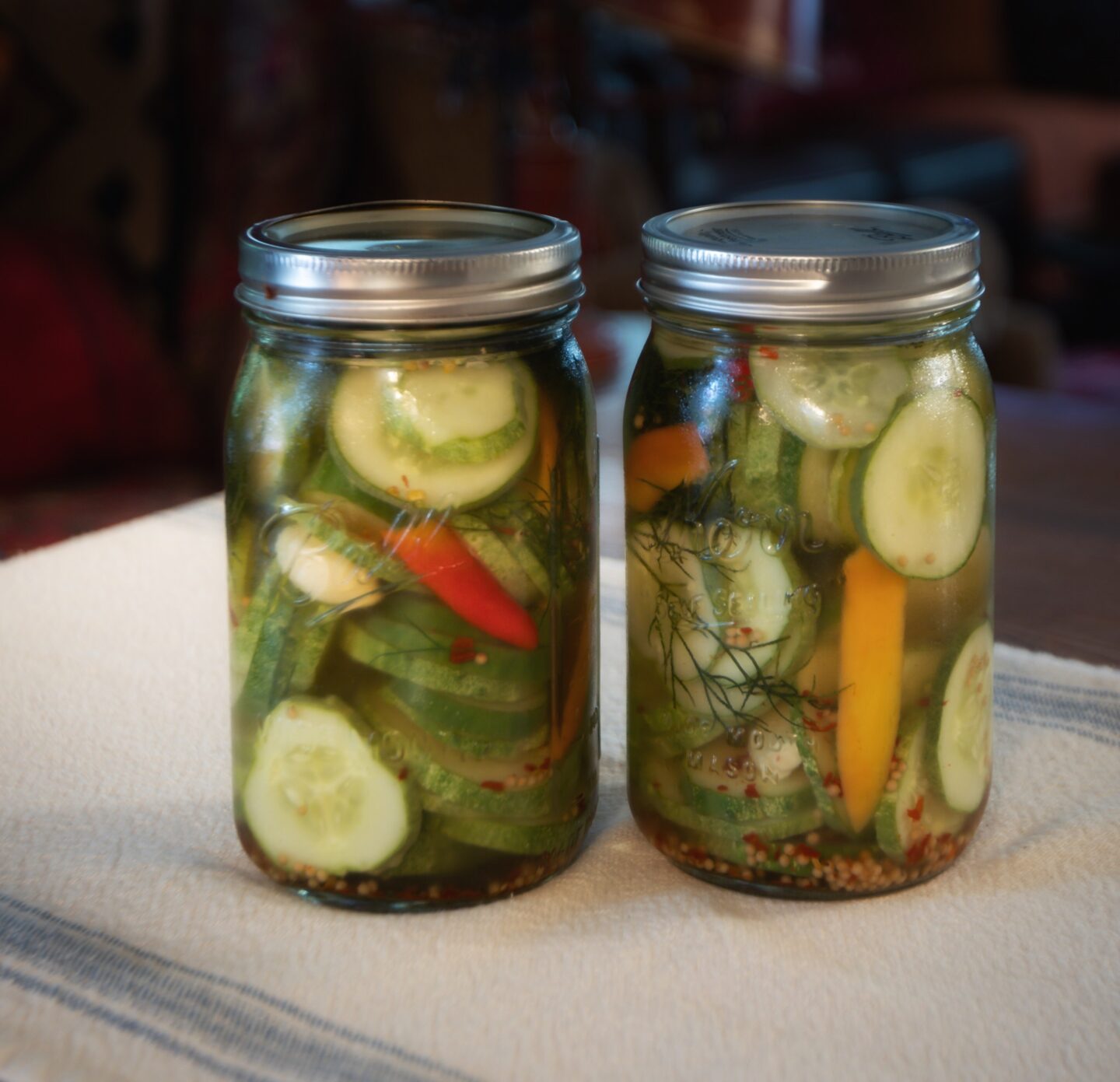 Spicy Refrigerator Dill Pickles