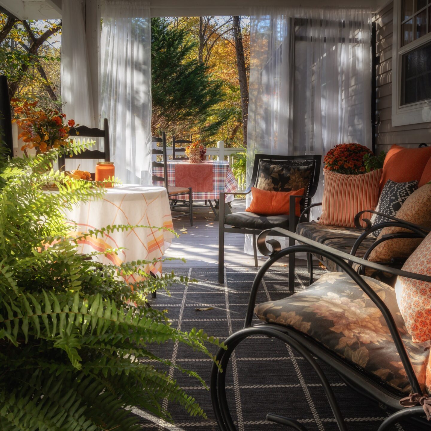 Autumn on the back porch